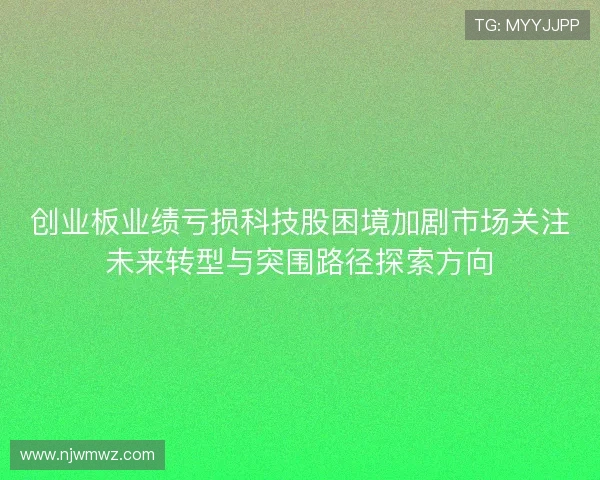 创业板业绩亏损科技股困境加剧市场关注未来转型与突围路径探索方向